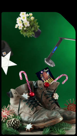 hagebau Nikologewinnspiel